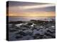 California, San Diego, Sunset Cliffs, Sunset over Tide Pools-Christopher Talbot Frank-Premier Image Canvas