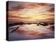 California, San Diego, Sunset Cliffs, Sunset Reflecting in a Tide Pool-Christopher Talbot Frank-Premier Image Canvas