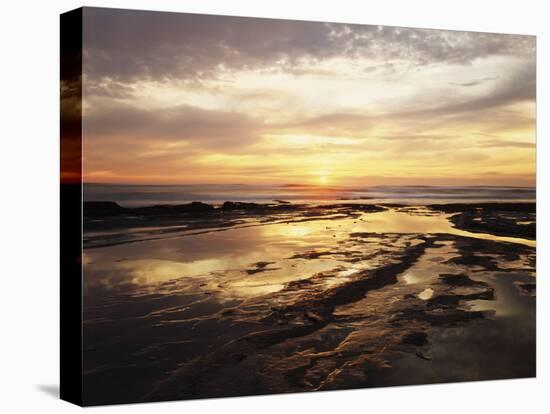 California, San Diego, Sunset Cliffs, Sunset Reflecting in Tide Pools-Christopher Talbot Frank-Premier Image Canvas