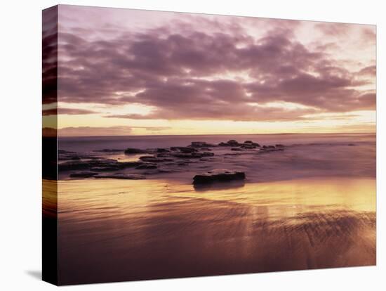 California, San Diego, Sunset Cliffs, Sunset Reflecting on a Beach-Christopher Talbot Frank-Premier Image Canvas