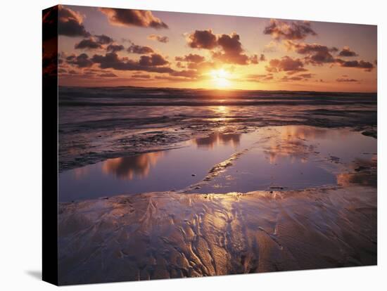 California, San Diego, Sunset Cliffs, Sunset Reflecting on a Beach-Christopher Talbot Frank-Premier Image Canvas