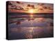 California, San Diego, Sunset Cliffs, Sunset Reflecting on a Beach-Christopher Talbot Frank-Premier Image Canvas