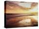 California, San Diego, Sunset over Tide Pools on the Pacific Ocean-Christopher Talbot Frank-Premier Image Canvas