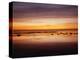 California, San Diego, Sunset over Tide Pools on the Pacific Ocean-Christopher Talbot Frank-Premier Image Canvas