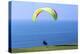 California, San Diego, Torrey Pines Gliderport. Hang Gliders Landing-Steve Ross-Premier Image Canvas