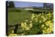 California, San Simeon, Yellow Wood Sorrel in Front of a School House-Alison Jones-Premier Image Canvas