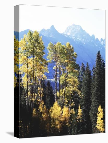 California, Sierra Nevada, Inyo Nf, Autumn Aspens Below Mountain Peak-Christopher Talbot Frank-Premier Image Canvas