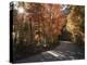 California, Sierra Nevada, Inyo Nf, Dirt Road, Fall Colors of Aspens-Christopher Talbot Frank-Premier Image Canvas