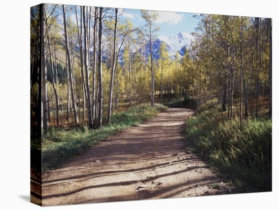California, Sierra Nevada, Inyo Nf, Dirt Road, Fall Colors of Aspens-Christopher Talbot Frank-Premier Image Canvas