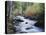 California, Sierra Nevada, Inyo Nf, Lee Vining Creek Through Forest-Christopher Talbot Frank-Premier Image Canvas