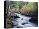 California, Sierra Nevada, Inyo Nf, Lee Vining Creek Through Forest-Christopher Talbot Frank-Premier Image Canvas