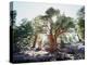 California, Sierra Nevada, Inyo Nf, Old Growth Juniper Tree, Juniperus-Christopher Talbot Frank-Premier Image Canvas