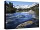 California, Sierra Nevada, Lichen Covered Rock, Rock Creek, Sierra Nf-Christopher Talbot Frank-Premier Image Canvas