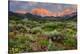 California, Sierra Nevada Mountains. Wildflowers Bloom in Valley-Jaynes Gallery-Premier Image Canvas