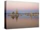 California, Sierra Nevada, Tufa Formations at Mono Lake at Sunrise-Christopher Talbot Frank-Premier Image Canvas