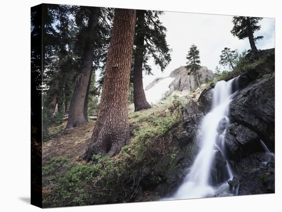 California, Sierra Nevada, Yosemite National Park, Waterfall from the Forest-Christopher Talbot Frank-Premier Image Canvas