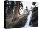 California, Sierra Nevada, Yosemite National Park, Waterfall from the Forest-Christopher Talbot Frank-Premier Image Canvas