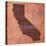 California State Words-David Bowman-Premier Image Canvas