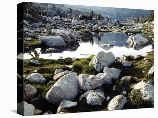 California,Twenty Lakes Basin, Glacial Till by Tarn, Hoover Wilderness-Christopher Talbot Frank-Premier Image Canvas