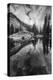 California, Yosemite National Park-Judith Zimmerman-Premier Image Canvas