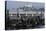 Californian Sealions (Zalophus Californianus) with Alcatraz in Background-Suzi Eszterhas-Premier Image Canvas