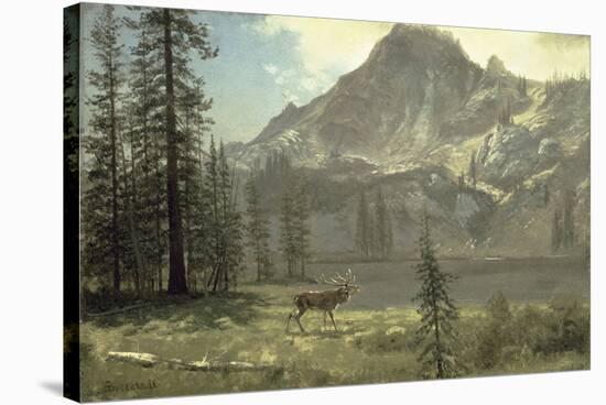 Call of the Wild-Albert Bierstadt-Stretched Canvas