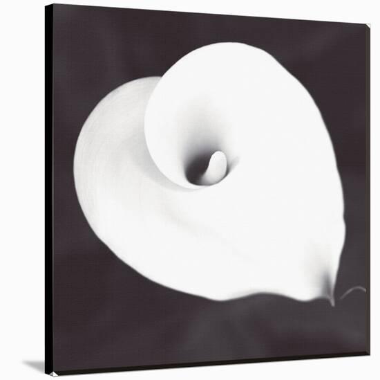 Calla I-null-Stretched Canvas