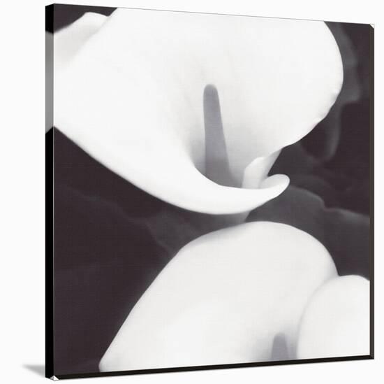 Calla II-null-Stretched Canvas