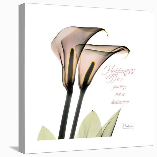 Calla Lily Happiness-Albert Koetsier-Stretched Canvas