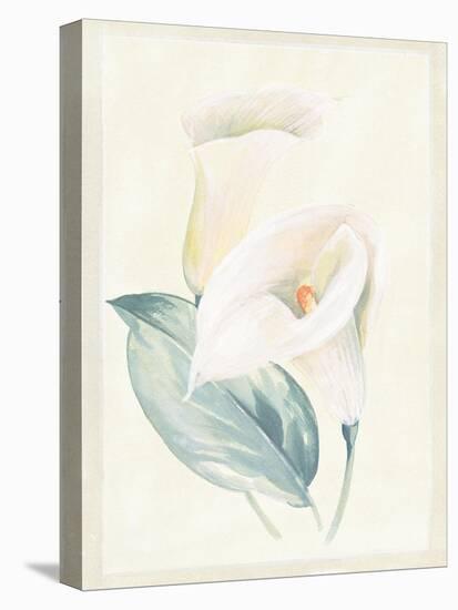 Calla Lily I-Paul Hargittai-Stretched Canvas