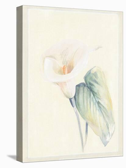 Calla Lily II-Paul Hargittai-Stretched Canvas