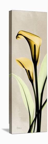 Calla Lily Moment-Albert Koetsier-Stretched Canvas