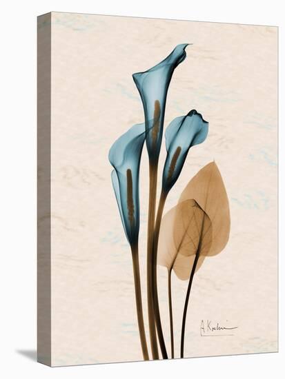 Calla Lily Moments-Albert Koetsier-Stretched Canvas