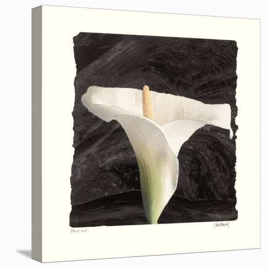 Calla Lily-Judy Mandolf-Stretched Canvas