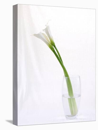 Calla Lily-Anna Miller-Premier Image Canvas