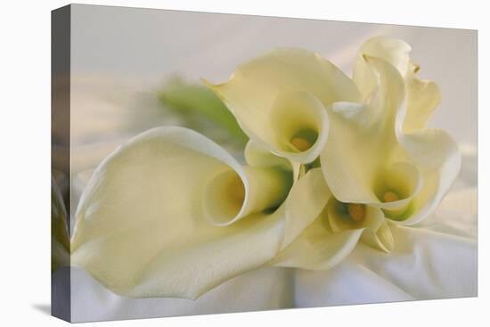 Calla Lily-Anna Miller-Premier Image Canvas