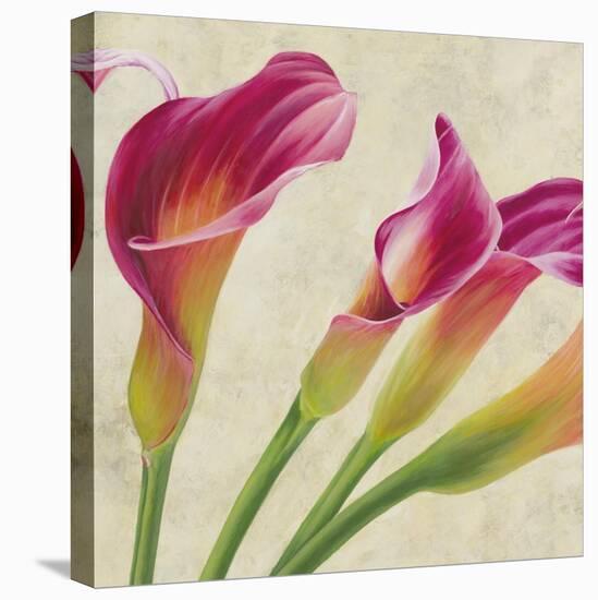 Calla Parade II-Luca Villa-Stretched Canvas