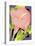 Calla Pink-David Chestnutt-Premier Image Canvas