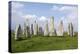 Callanish Stones, Isle of Lewis, Outer Hebrides, Scotland, 2009-Peter Thompson-Premier Image Canvas