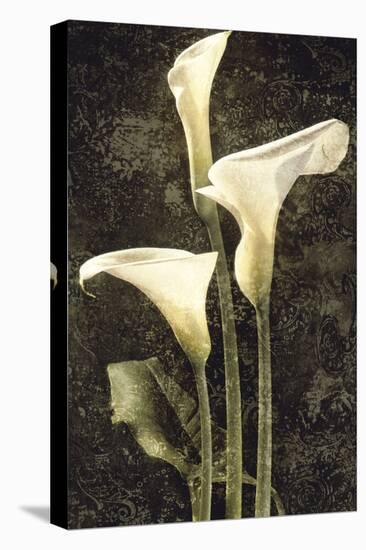 Callas II-John Seba-Stretched Canvas