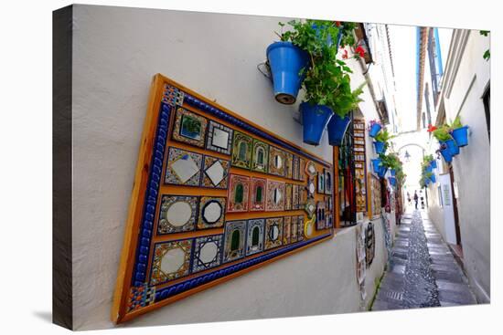 Calle De Las Flores, Cordoba, Andalucia, Spain-Carlo Morucchio-Premier Image Canvas