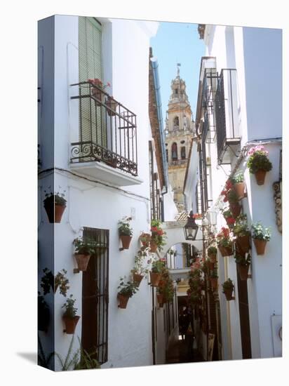 Calleja De Las Flores (Flower Alley), Spain-Lynn Seldon-Premier Image Canvas