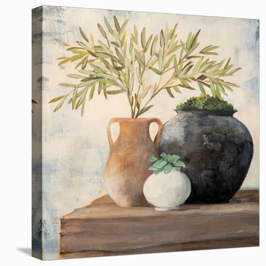 Calm Still Life II-Julia Purinton-Stretched Canvas