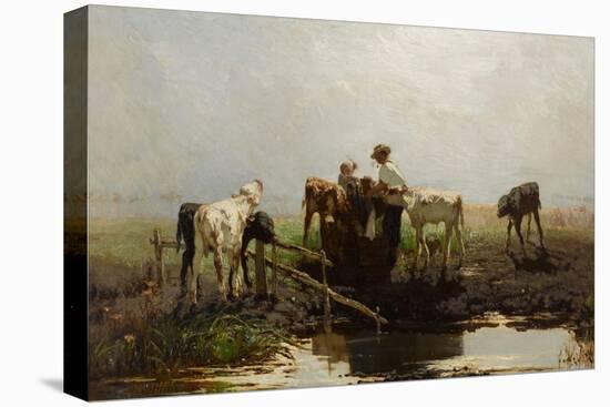 Calves at a Trough-Willem Maris-Premier Image Canvas