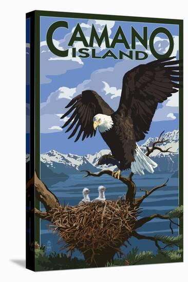 Camano Island, Washington - Bald Eagle and Chicks-Lantern Press-Stretched Canvas