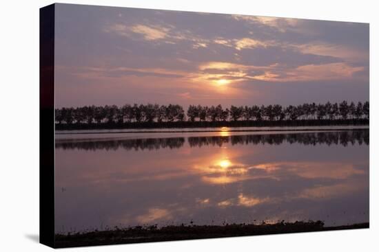 Camargue - Bouches-Du-Rhone, France-Achim Bednorz-Premier Image Canvas