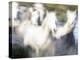 Camargue Horses, Ile Del La Camargue, France-Gavriel Jecan-Premier Image Canvas