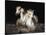 Camargue Horses-Bobbie Goodrich-Stretched Canvas