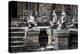 Cambodia, Angkor Wat. Banteay Srei Temple, Three Monkey Statues-Matt Freedman-Premier Image Canvas