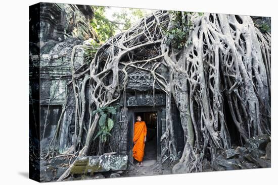 Cambodia, Siem Reap, Angkor Wat Complex. Buddhist Monk Inside Ta Prohm Temple (Mr)-Matteo Colombo-Premier Image Canvas
